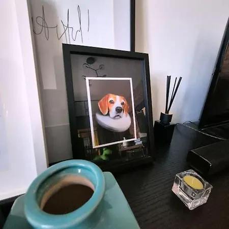 Historical, Spacious And Elegant With Terrace * Tartu