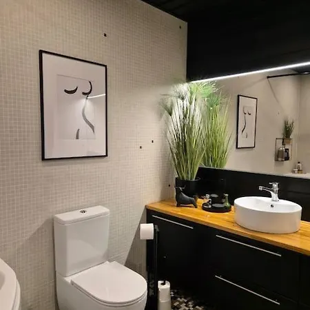 Historical, Spacious And Elegant With Terrace * Tartu