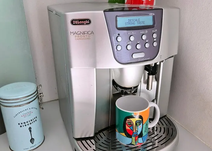 Historical, Spacious And Elegant With Terrace