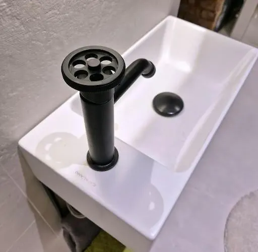 Historical, Spacious And Elegant With Terrace Korter *