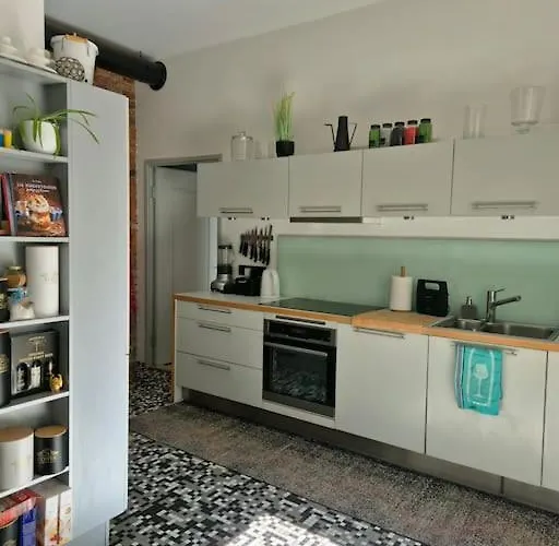 Historical, Spacious And Elegant With Terrace Korter Tartu