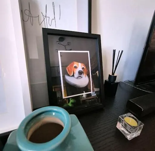 Historical, Spacious And Elegant With Terrace * Tartu