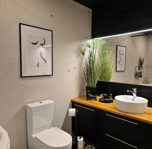 Historical, Spacious And Elegant With Terrace * Tartu