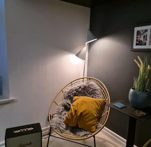 Historical, Spacious And Elegant With Terrace Korter *